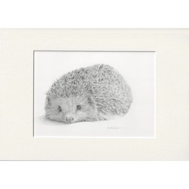 Hedwig the Hedgehog (Print) — Is Erikson Artist? Yes, She is!